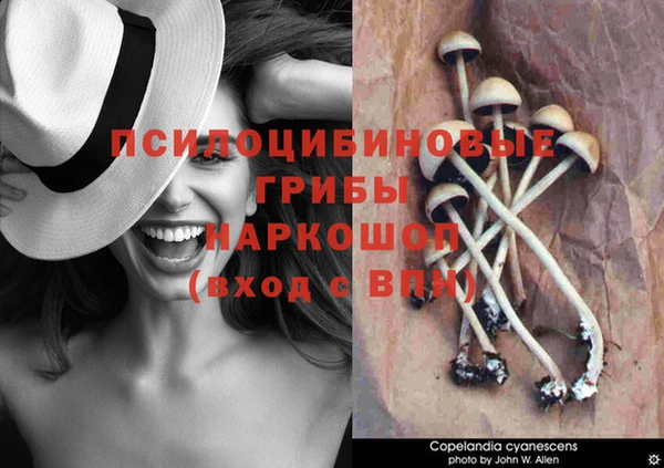дурь Аркадак