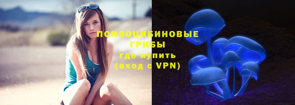 мяу мяу мука Армянск